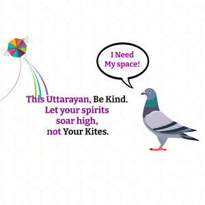 Makar Sankranti Wisehs Images, Poster and Status Free Download 55 16100976239070 Fest vruti uttarayan 06012021 4 square Makar Sankranti